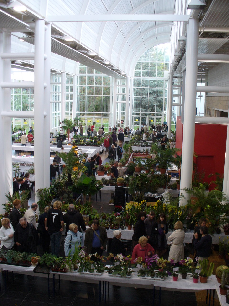 L'exposition florale s'est tenue dans l'Agora